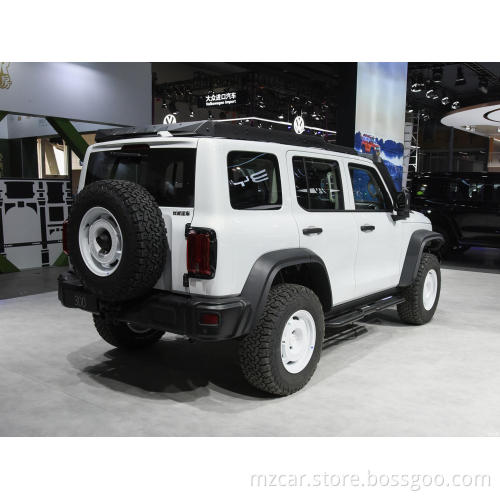 China Cheapest Changcheng Tank 300 SUV 2023 Off-road version 2.0T Collector gasoline car with sunroof